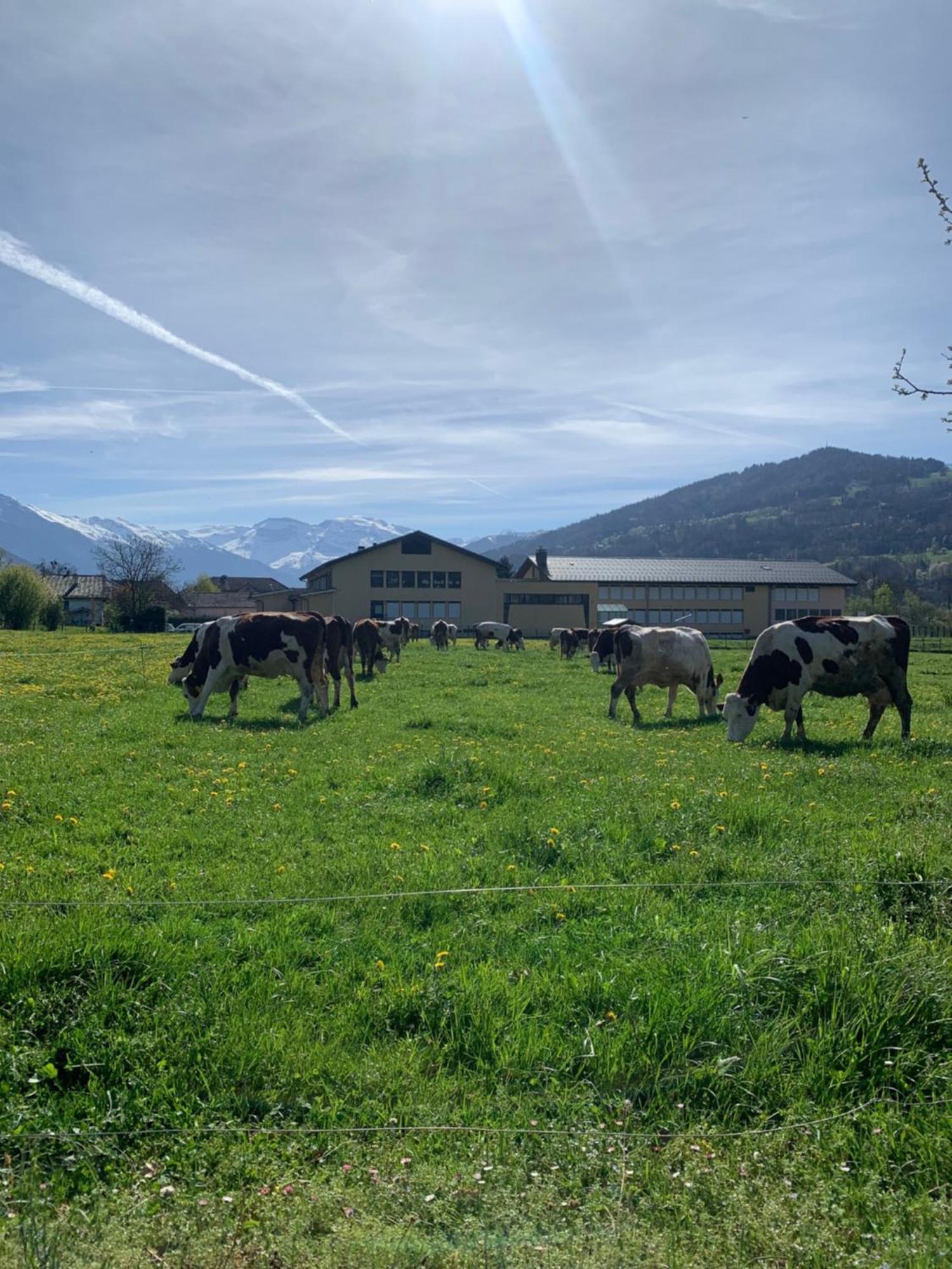 Au Centre Cosy Et Neuf Proche Station Parking Terasse Taninges